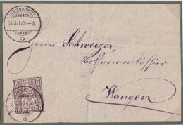 Lokaler Briefteil  Herz.buchsee - Wangen        1879 - Covers & Documents