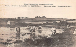 Ivory étang De Loisy Vaches Canton Salins Les Bains - Other & Unclassified