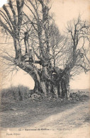 Ivory La Tille Tilleul Arbre Arbres Canton Salins Les Bains Attention état - Other & Unclassified