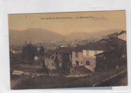 France - Haute Garonne - Vue Prise De Saint Gaudens - Le Bout Du Puy - Circulated - C1908 - Saint Gaudens