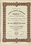 - Titre De 1925 - Société Anonyme Des Glacières Et Entrepots Luxembourgeois - GEL - - Industry
