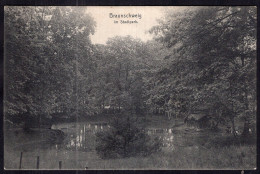 Deustchland - 1908 - Braunschweig - Im Stadtpark - Braunschweig