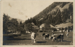 Höllental - Posthalde - Höllental