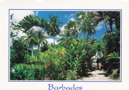 BRB 02 01#3D - BARBADOS - WEST INDIES - TROPICAL PARADISE IN THE FLOWER FOREST (12 X 17 Cm) - Barbados (Barbuda)
