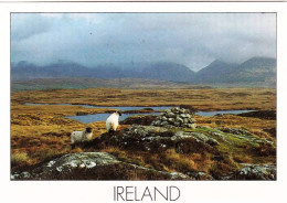 Eire - Ireland - The Rugged Landscapeon The West Coast Of Ireland - Other & Unclassified