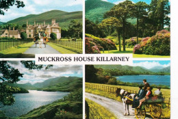 Eire - Ireland -  Muckross House  KILLARNEY - Co Kerry - Kerry