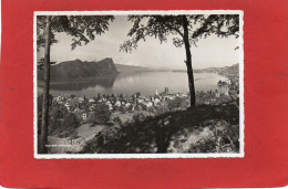 SUISSE---KURORT  VITZNAU------Vitznau Blick Gegen Bürgenstock--voir 2 Scans - Vitznau