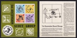 ASCENSION 1982 75TH ANNIV OF BOY SCOUT MOVEMENT UNUSUAL MINIATURE SHEET MS MNH - Unused Stamps