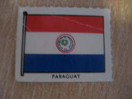 Flag Slight Folded Poster Stamp Vignette PARAGUAY Label - Paraguay