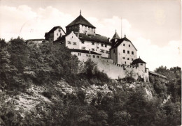 LIECHTENSTEIN - Schloss Vaduz - Vue Générale - Carte Postale Ancienne - Liechtenstein