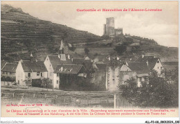 ALLP2-0196-68 - KAYSERSBERG - Le Chateau Et Le Mur De D'enceinte De La Ville  - Kaysersberg