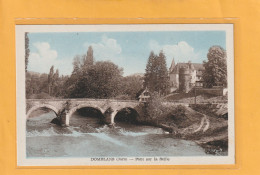 DOMBLANS . PONT SUR LA SEILLE  .  CARTE COLORISEE NON ECRITE - Other & Unclassified