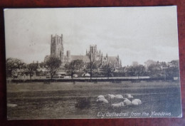 Cpa Ely Cathedral From The Meadows - Beaux Cachets Ronds D'Ely Vers Spa Belgique 1912 - Ely