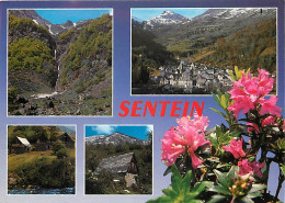 09 - Sentein - Multivues - Fleurs - CPM - Voir Scans Recto-Verso - Otros & Sin Clasificación