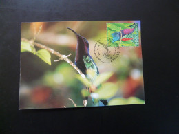 Carte Maximum Card Oiseau Colibri Hummingbird Pointe A Pitre Guadeloupe 2003 - Hummingbirds