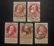 België - Belgique  1905  - OPB/COB ° 74 -  - Leopold II  - Grove Baard - Obl. Diverses - 1905 Grosse Barbe