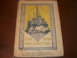 SUSSIDIARIO I TRE REGNI DELLA NATURA -EDIZIONI SANDRON 1930 - Geschiedenis,