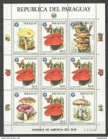 Ec127 1986 Paraguay Flora Nature Mushrooms Michel 25 Euro 1Kb Mnh - Mushrooms