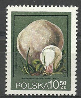 Poland 1980 Mi 2698 Fi 2550 MNH  (LZE4 PLD2698) - Mushrooms