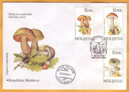 1995 Moldova Moldavie FDC Mushrooms. Nature. Cover - Mushrooms