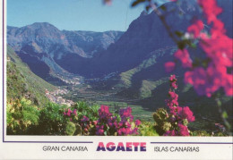 136767 - Gran Canaria - Spanien - Agaete - Gran Canaria