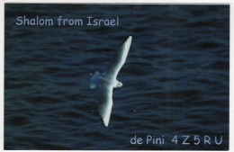 AK 221260 QSL - Israel - Tel-Aviv - Amateurfunk