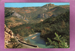 04 CASTELLANE  GORGES DU VERDON Au Loin Les Cadières De Brandis  Près De CHASTEUIL - Castellane