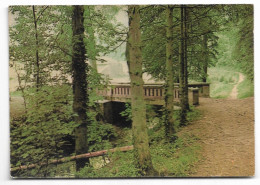 L'allée De La Source - Poix-de-Picardie