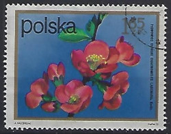 Poland 1972  Strauchblumen (o) Mi.2217 - Usados