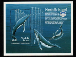 Norfolk Islands 1995 - Mi.Nr. Block 15 - Postfrisch MNH - Tiere Animals Wale Whales - Whales