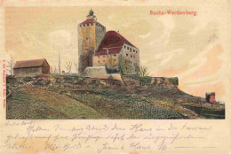 13988818 Buchs__Buchs-Werdenberg_SG Schloss Kuenstlerkarte - Other & Unclassified