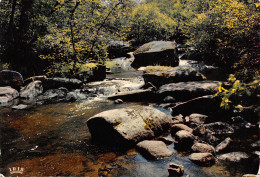 23-LES GORGES DE LA RIGOLE DU DIABLE-N°3771-A/0165 - Altri & Non Classificati