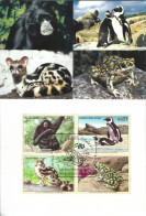 ONU Vienna 1982 Fauna In Estinzione, Cartolina Maximum  Spl - Lettres & Documents