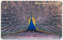 RUSSIA - RUSSIE - RUSSLAND KUBAN ELECTROSVYAZ SOCHI 150 UNITS CHIP TELECARTE PEACOCK BIRD - Russland