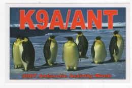 AK 221332 QSL - 2007 Antarctic Activity Week - Amateurfunk