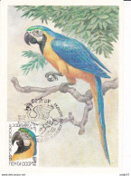 Soviet Unie CCCP Russia 1984 Mi 5360 YT 5079 SG 5413 * Blue And Yellow Macaw / Ara / Parrots Max Card - Parrots