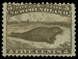 * Canada / Newfoundland - Lot No. 245 - 1865-1902