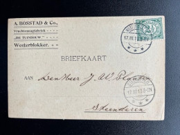 NETHERLANDS 1913 POSTCARD WESTERBLOKKER TO STEENDEREN 17-03-1913 NEDERLAND - Storia Postale