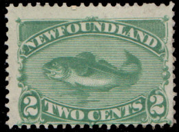 Newfoundland Scott 47 Unused Hinged. - 1865-1902