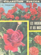 Les Rosiers Et Les Roses - Collection Rustica. - Pasquier Henri - 1962 - Nature