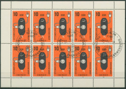 DDR 1981 Energie Sparen Braunkohle 2601 K Sonderstempel Gestempelt (C97014) - Autres & Non Classés