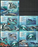 Comoros 2011 Mi 3068-3072 MNH  (LX ZS4 COM3068-3072) - Delfini