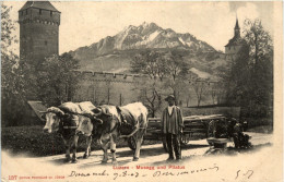 Luzern Musegg - Ochsengespann - Luzern