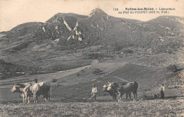 Salins Les Bains Saint Thiébaud Ivrey Saizenay Mont Poupet Laboureurs Labour Attelage Agriculture 122 Figuet - Other & Unclassified