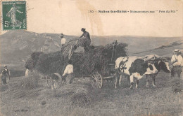 Salins Les Bains Moissonneurs Moisson Aux Prés Du Roi Attelage Agriculture 130 Figuet - Otros & Sin Clasificación