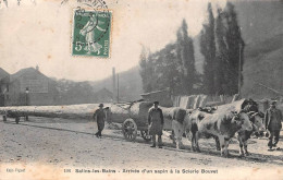 Salins Les Bains Transport Bois Attelage Arrivée D'un Sapin à La Scierie Bouvet 106 Figuet - Other & Unclassified