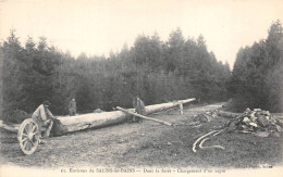 Salins Les Bains Chargement D'un Sapin Bûcherons Transport Bois Forêt De La Joux ? 61 Figuet - Other & Unclassified