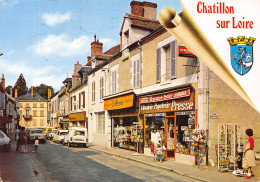 45-CHATILLON SUR LOIRE-N°T2185-D/0325 - Chatillon Sur Loire