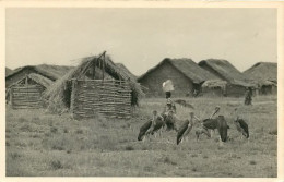 GUINEE CONAKRY Les Oiseaux De Brousse MARABOUT Devant Les Cases 36 (scan Recto-verso)MA1901Ter - Frans Guinee