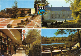 78-LA CELLE SAINT CLOUD-N°T2197-B/0389 - La Celle Saint Cloud